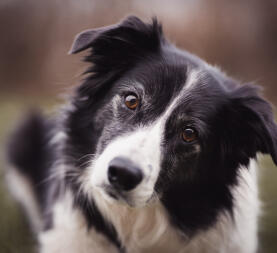 Jonas Richter profile photo