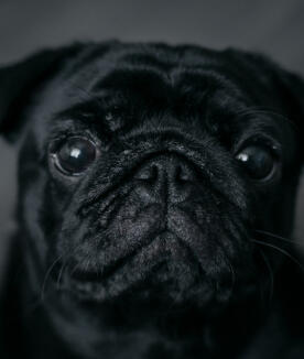 Maya Chen profile photo