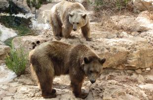 Alex Martinez avatar