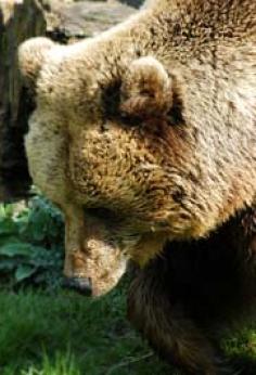 Maya Chen profile photo