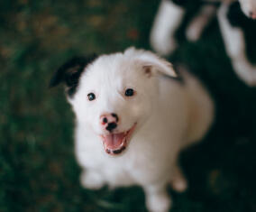 Leo Anders profile photo