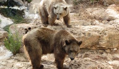 Leo Anders profile photo