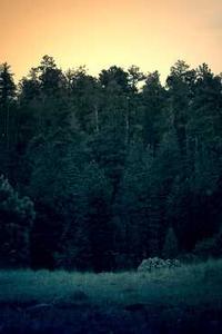 Maya Chen profile photo