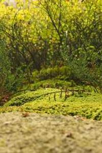 Leo Anders profile photo