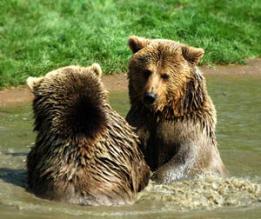 Alex Martinez avatar