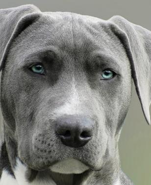 Jonas Richter profile photo