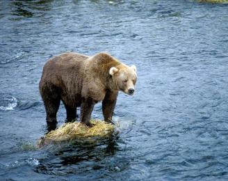 Alex Martinez avatar