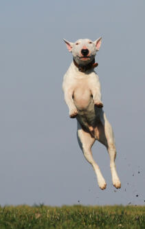 Alex Martinez avatar