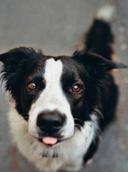 Jonas Richter profile photo