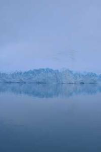 Maya Chen profile photo