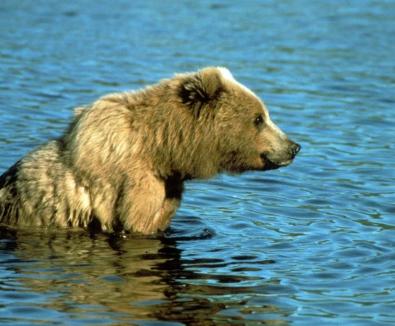 Leo Anders profile photo