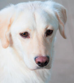 Leo Anders profile photo