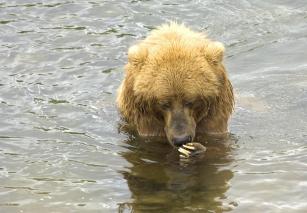 Alex Martinez avatar