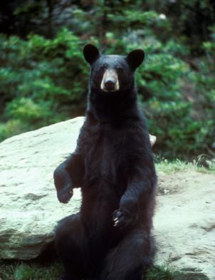 Alex Martinez avatar