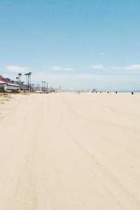 Leo Anders profile photo