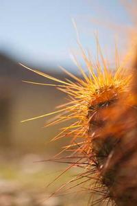 Jonas Richter profile photo