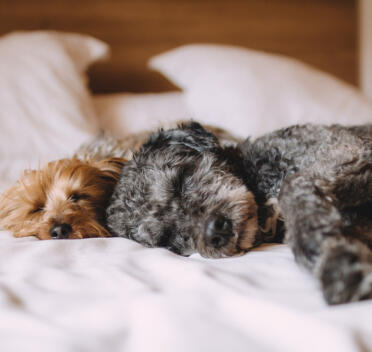 Alex Martinez avatar