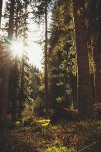 Alex Martinez avatar