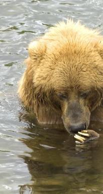 Leo Anders profile photo