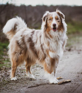 Leo Anders profile photo