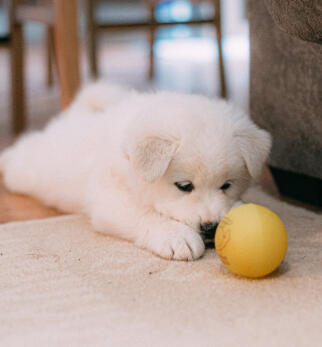 Leo Anders profile photo