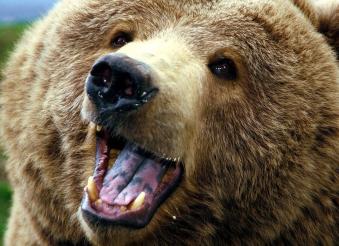 Jonas Richter profile photo