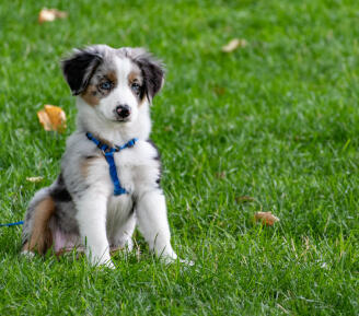 Maya Chen profile photo