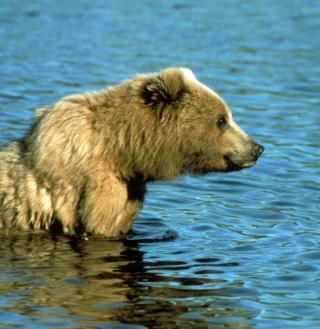 Maya Chen profile photo