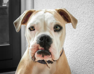 Alex Martinez avatar