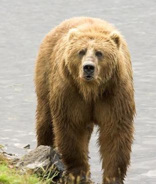 Jonas Richter profile photo