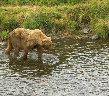 Alex Martinez avatar