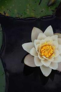 Jonas Richter profile photo