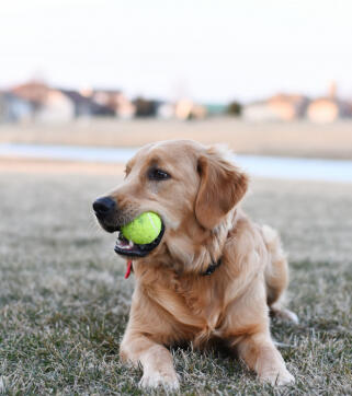 Alex Martinez avatar