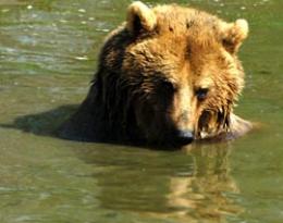 Alex Martinez avatar