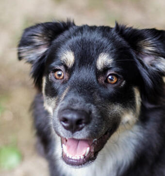 Alex Martinez avatar