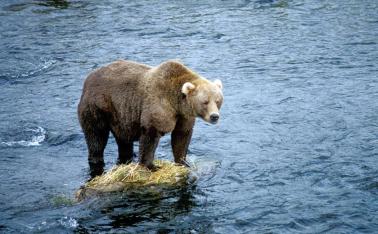 Alex Martinez avatar