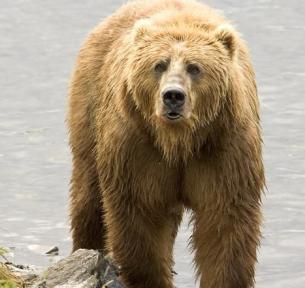 Alex Martinez avatar