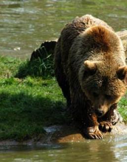 Jonas Richter profile photo