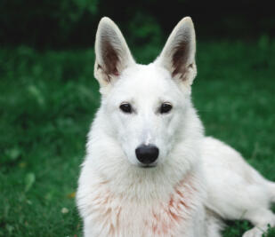 Jonas Richter profile photo