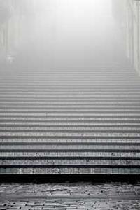 Maya Chen profile photo