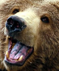 Jonas Richter profile photo