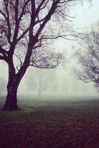 Maya Chen profile photo