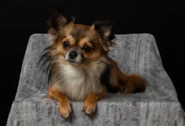 Alex Martinez avatar