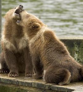 Maya Chen profile photo