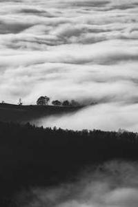 Maya Chen profile photo