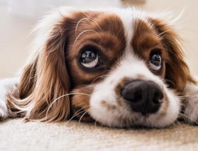 Alex Martinez avatar