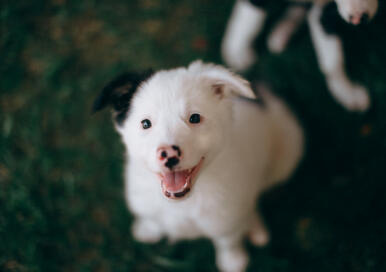 Maya Chen profile photo