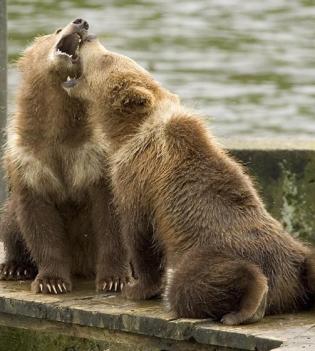 Jonas Richter profile photo