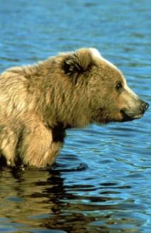 Maya Chen profile photo