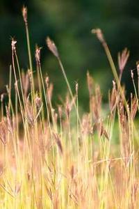 Jonas Richter profile photo